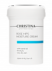Christina Rose Hips MoistureCream with Carrot Oil for dry and very dry skin – Увлажняющий крем с маслом моркови для сухой и очень сухой кожи «Шиповник», 250 мл
