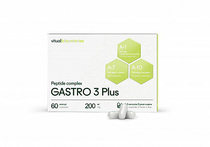 Gastro
